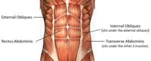 abdominals