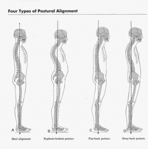 posture-charts1