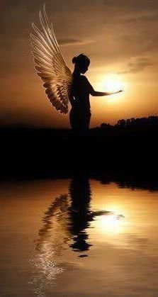 angel_1